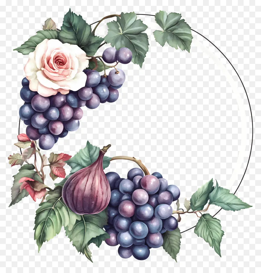 Corona De Uva，Corona De Frutas PNG