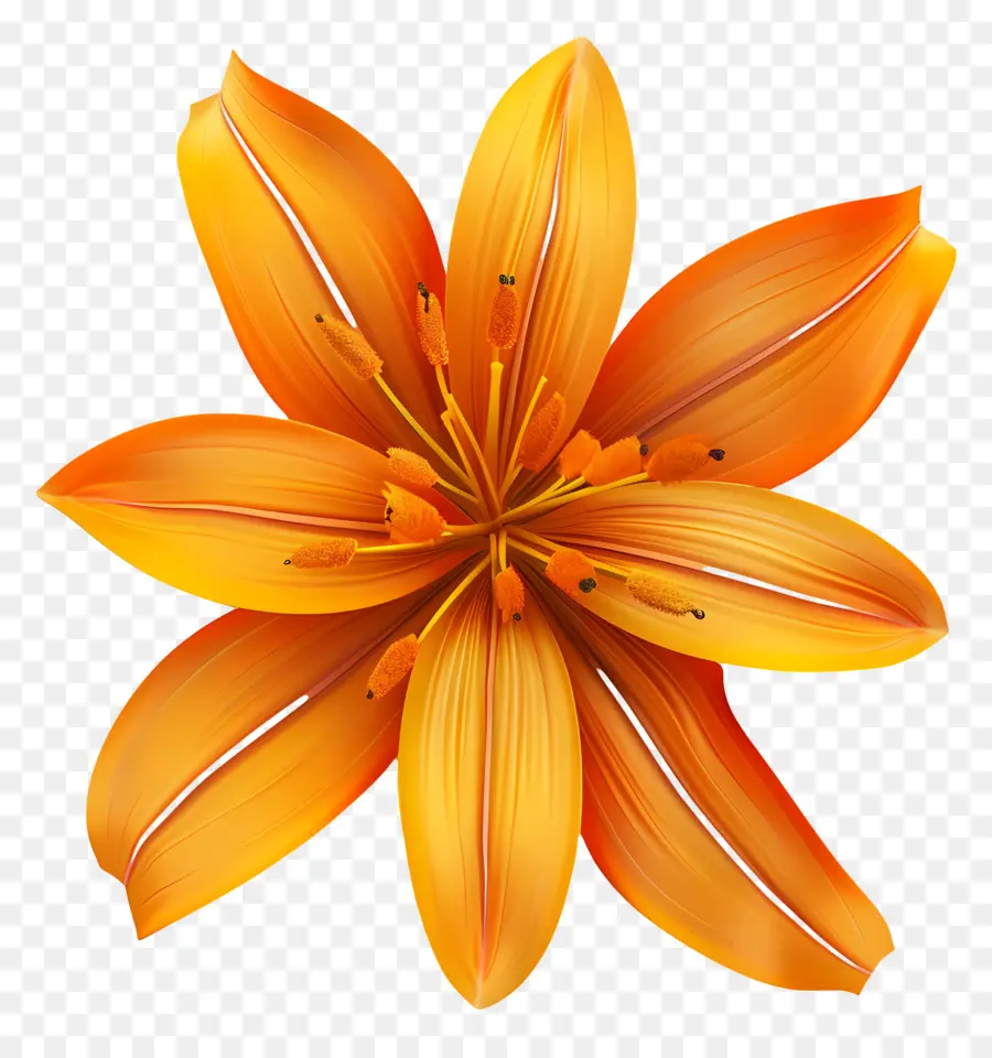 Flor 3d，Flor De Lirio Naranja PNG