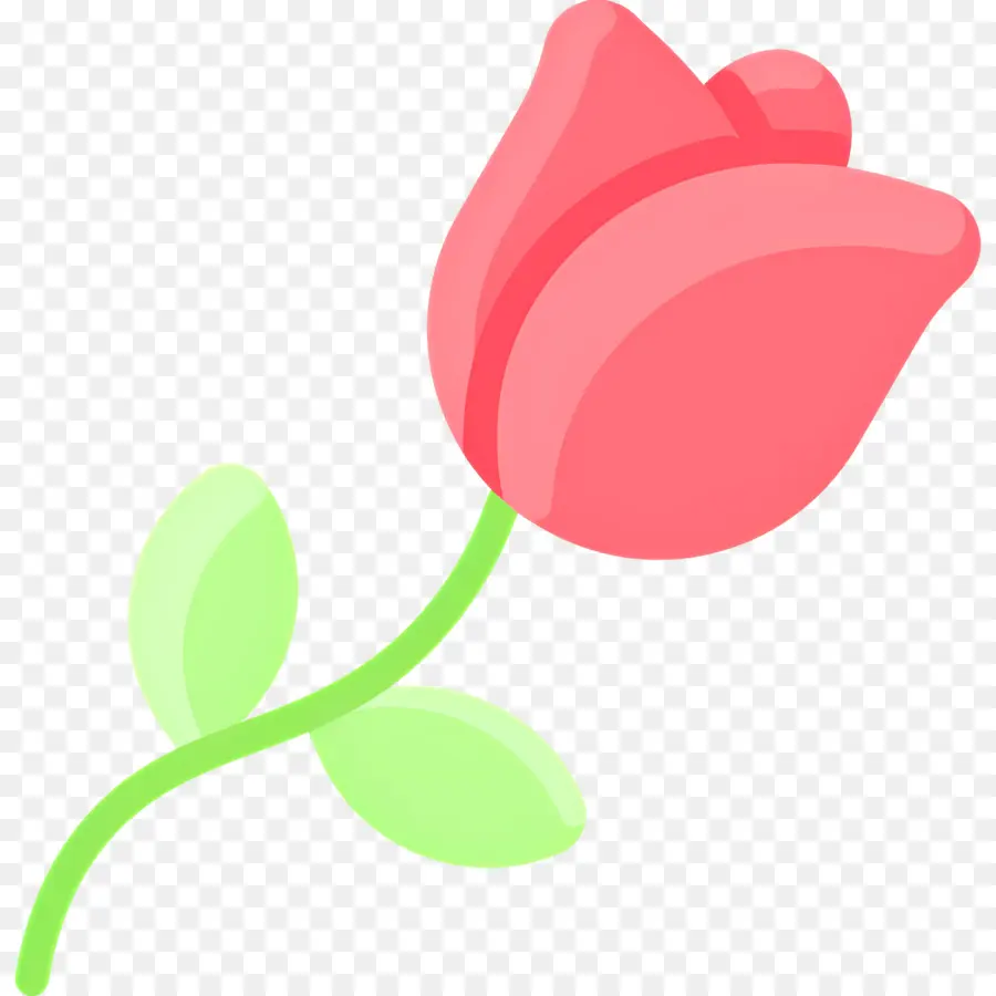 Flor Rosa，Rosa única PNG