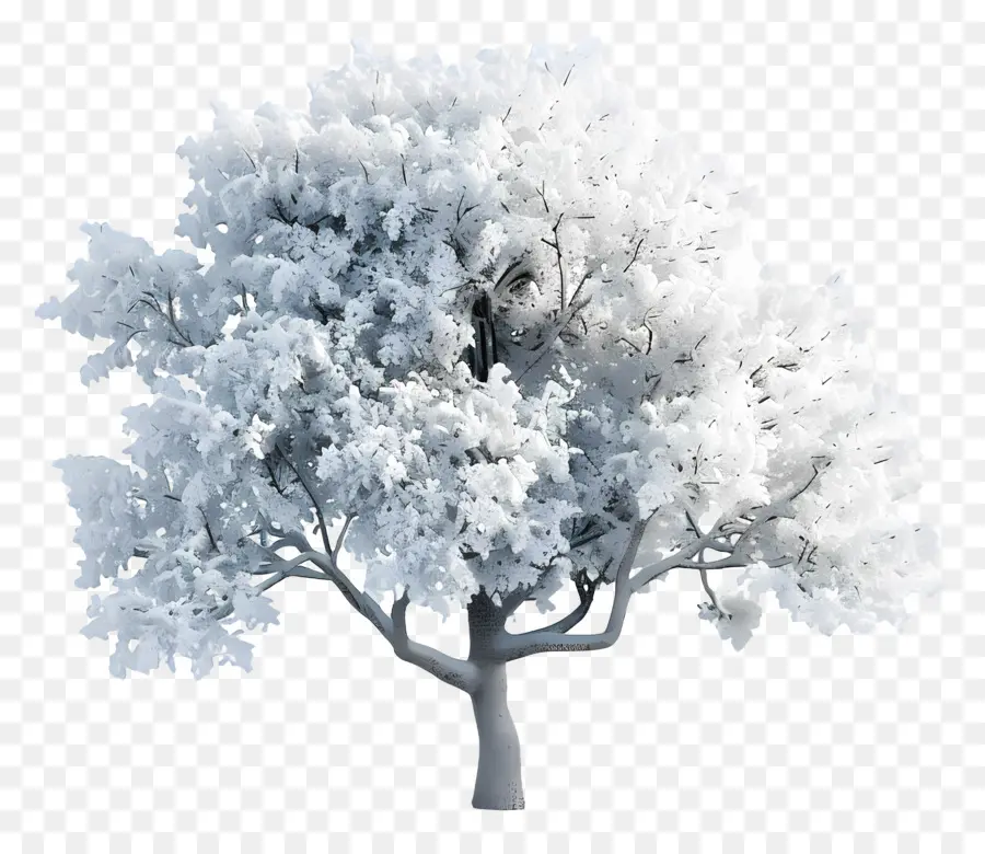 árbol Nevado，Invierno PNG