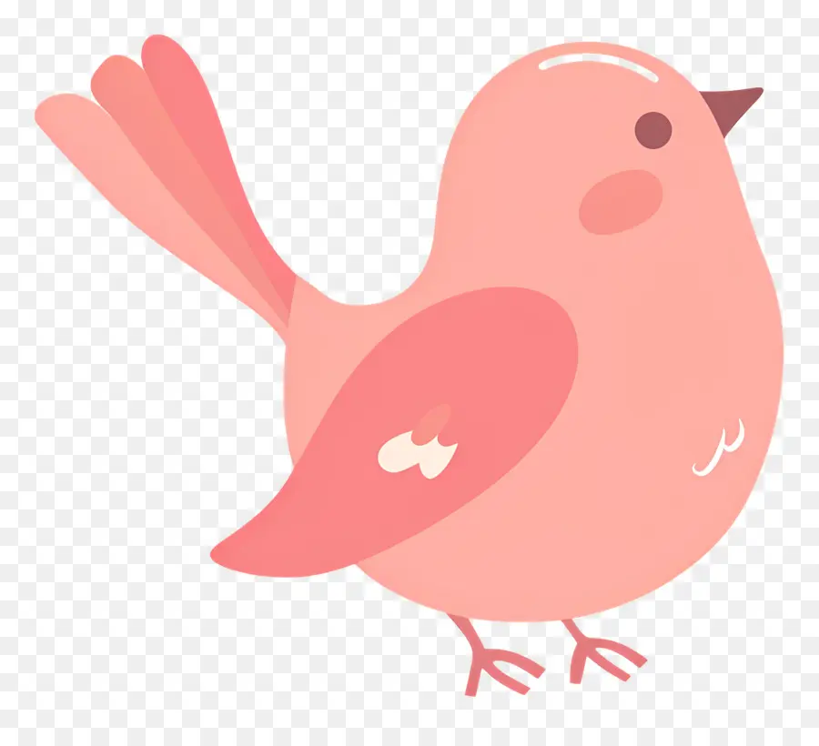 Lindo Pájaro，Pájaro Rojo PNG