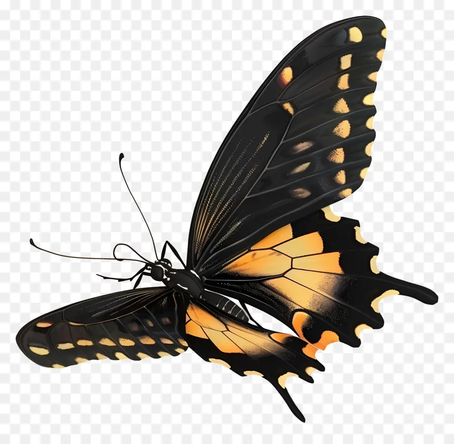 Mariposa Animada，Mariposa Amarilla PNG