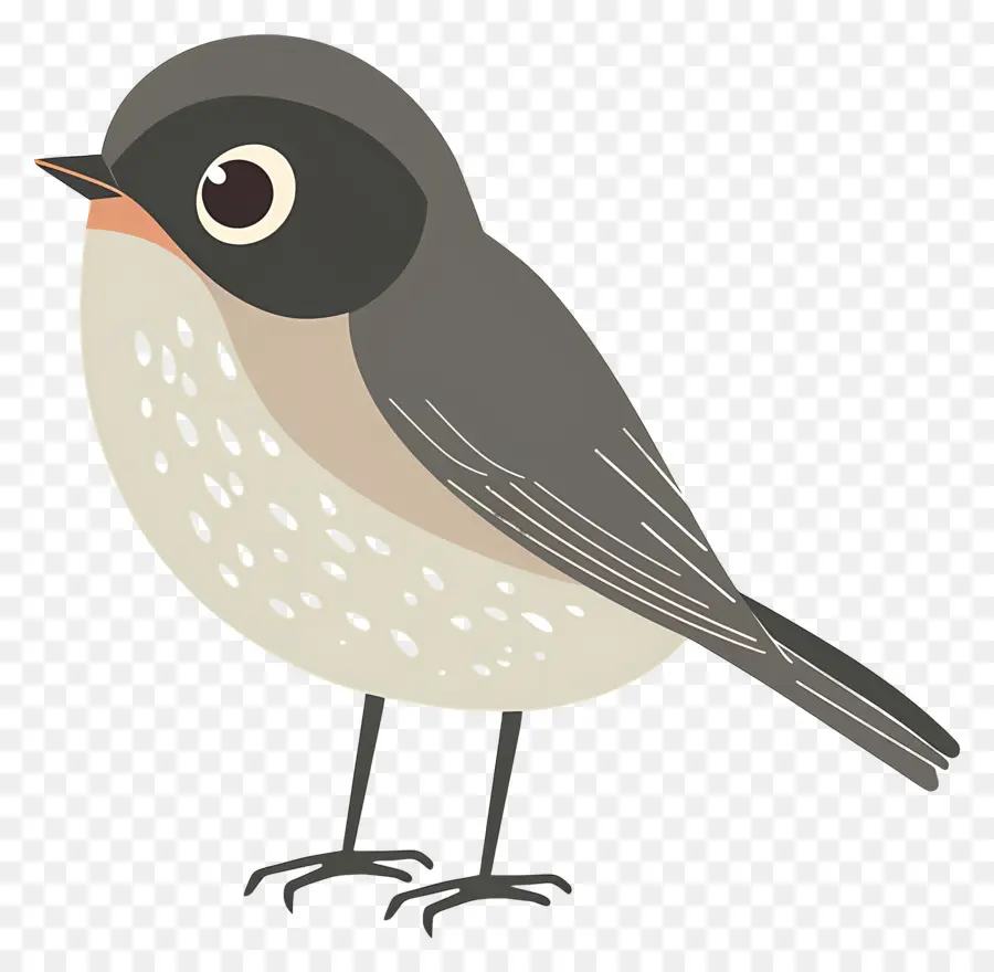 Lindo Pájaro，Pájaro De Dibujos Animados PNG