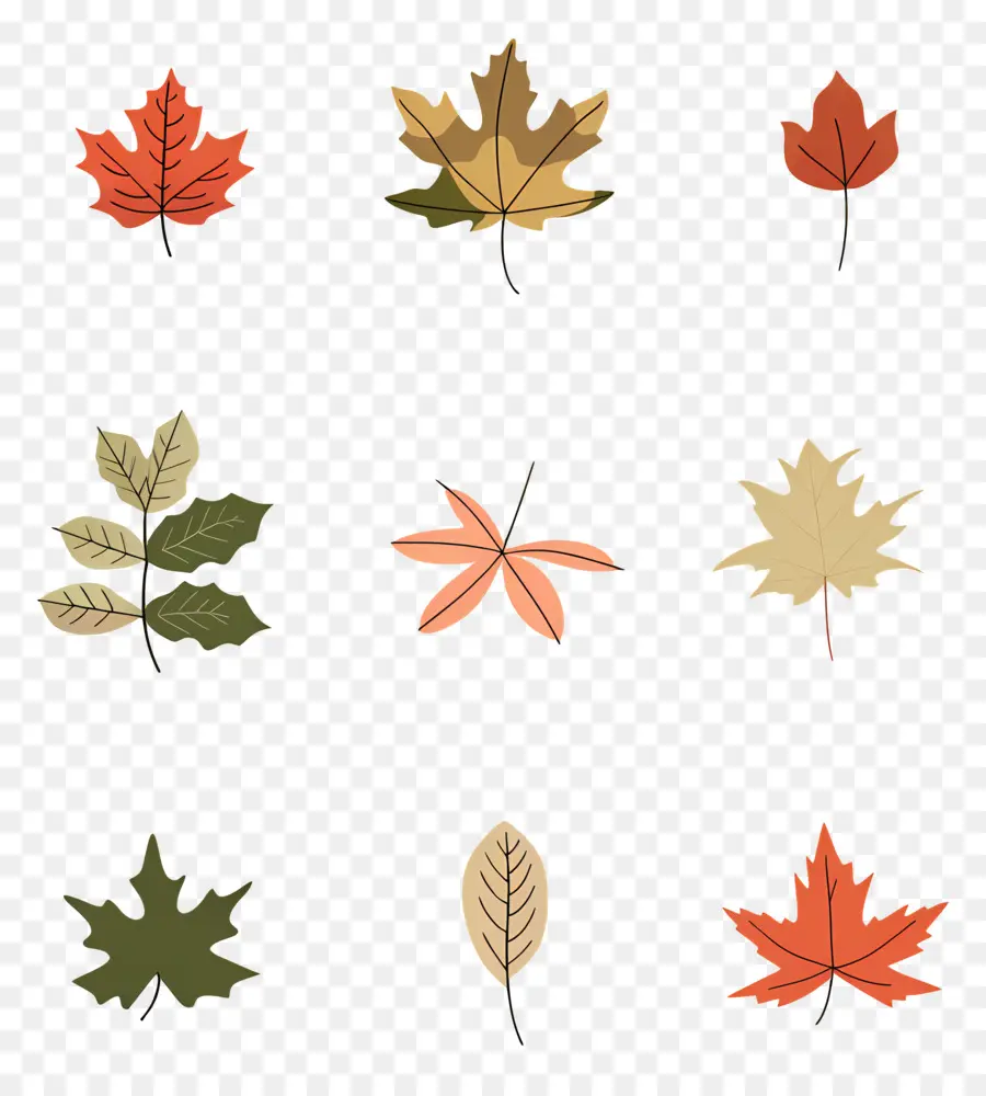 Hojas De Otoño，Caer PNG