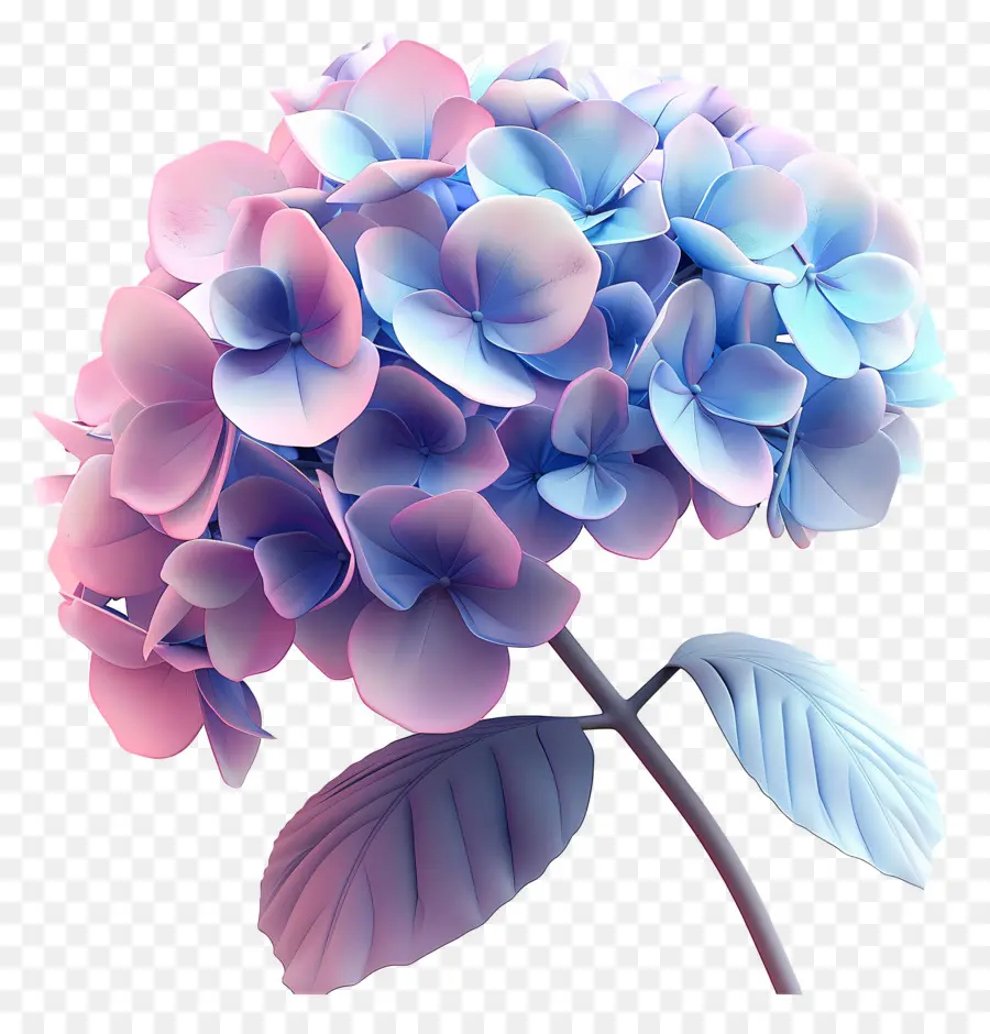 Flor 3d，Hortensia PNG