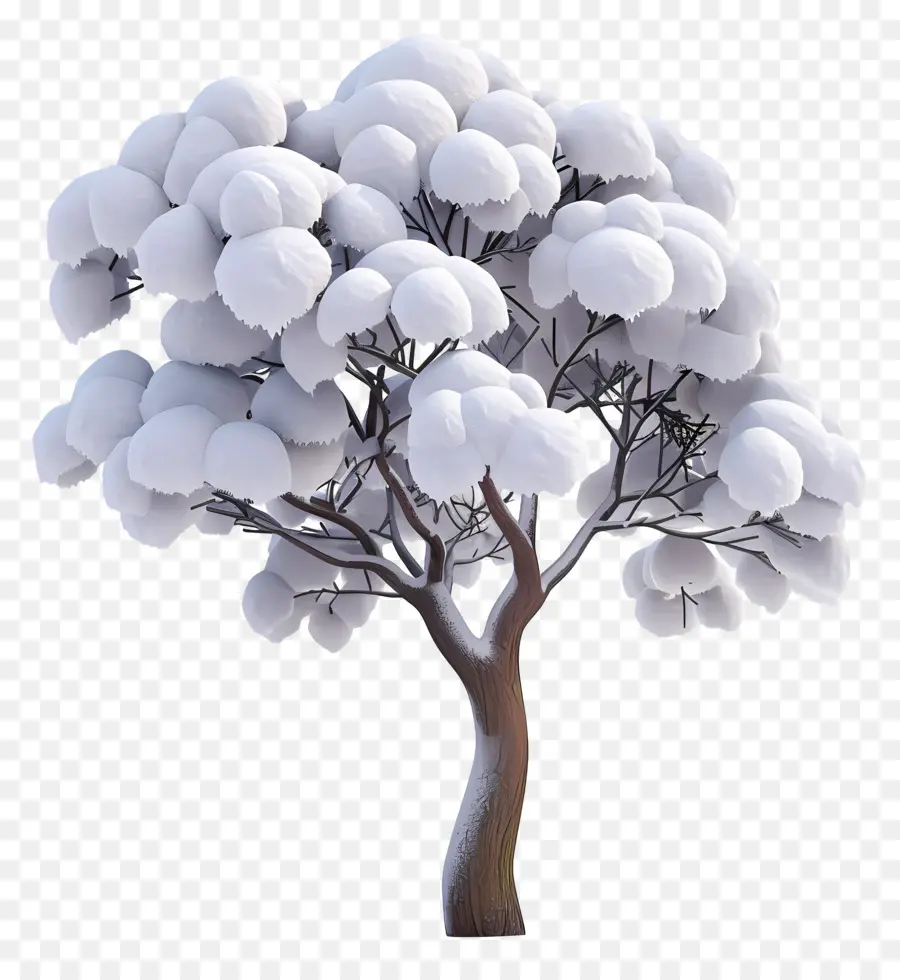 árbol Nevado，Planta De Algodón Blanco PNG