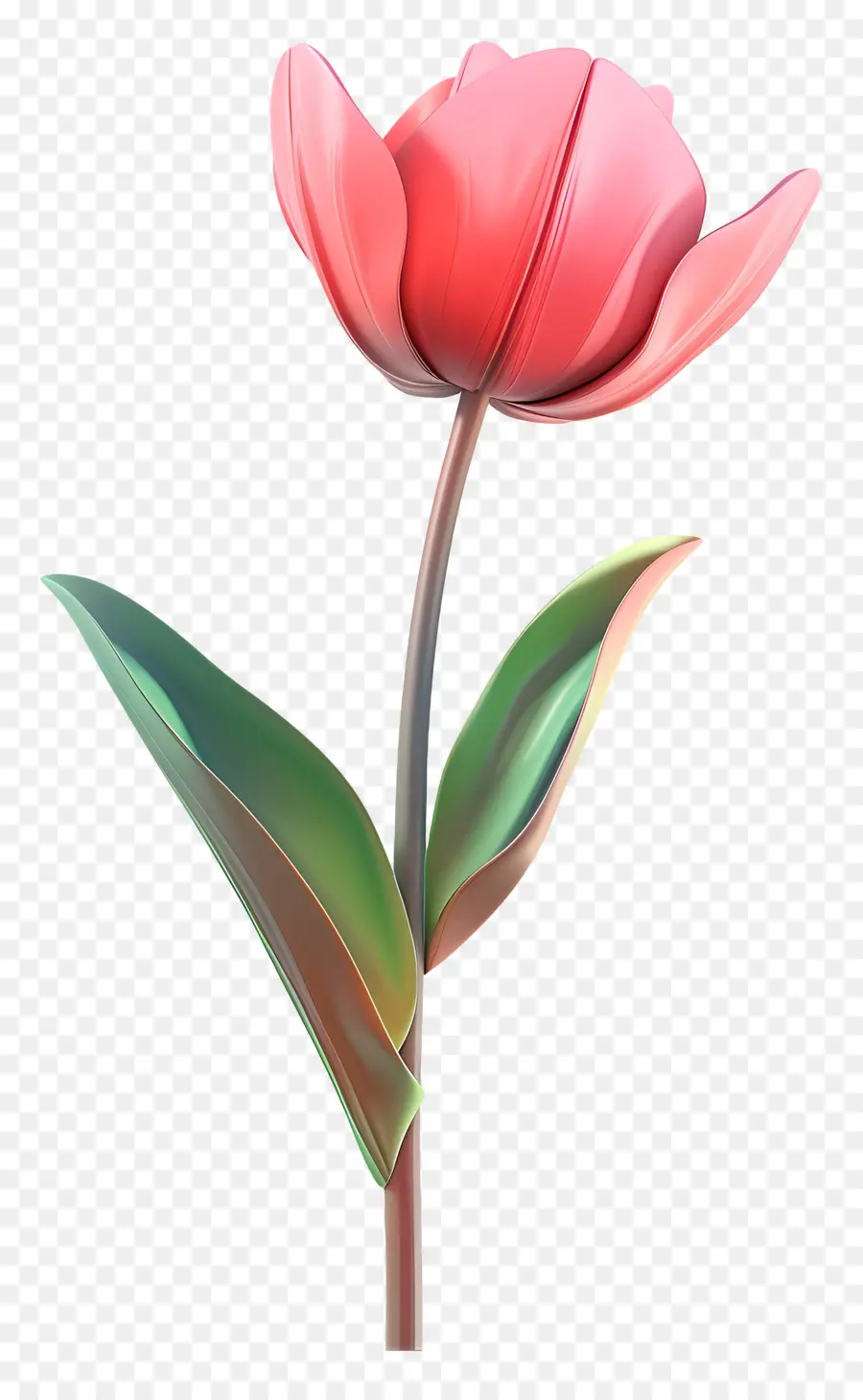 Flor 3d，Tulipán Rosa PNG