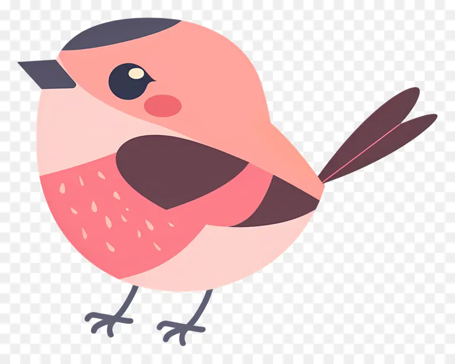 Lindo Pájaro，Dibujos Animados PNG