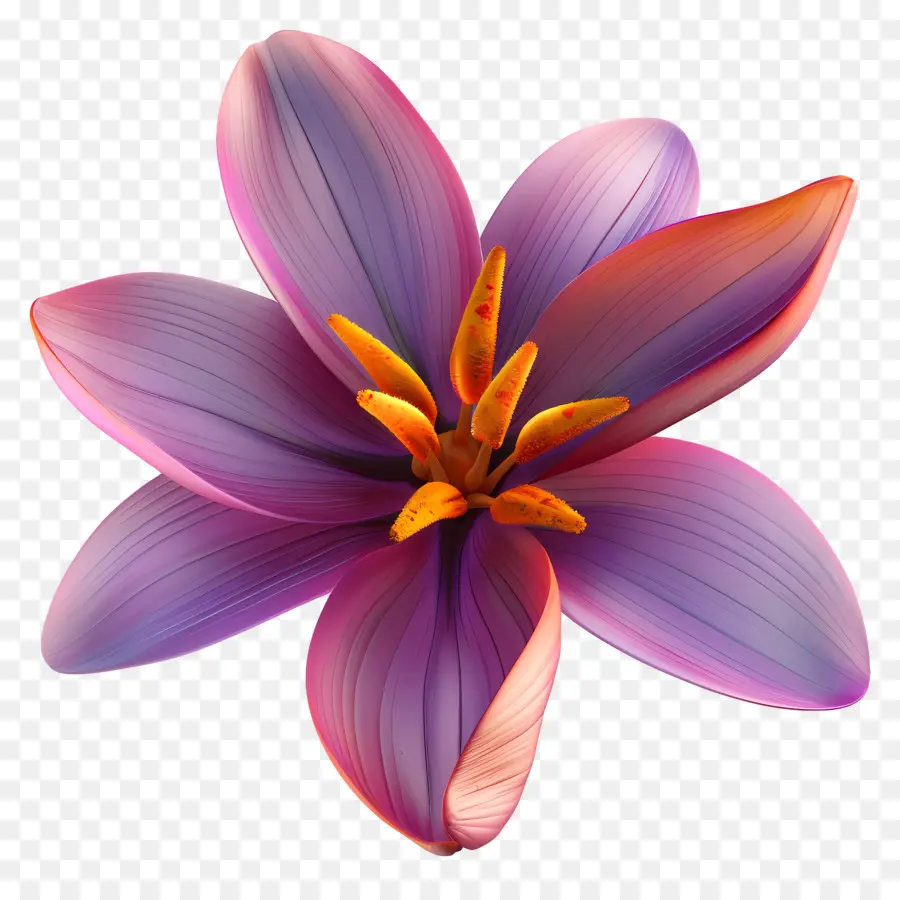 Flor 3d，Flor Morada PNG