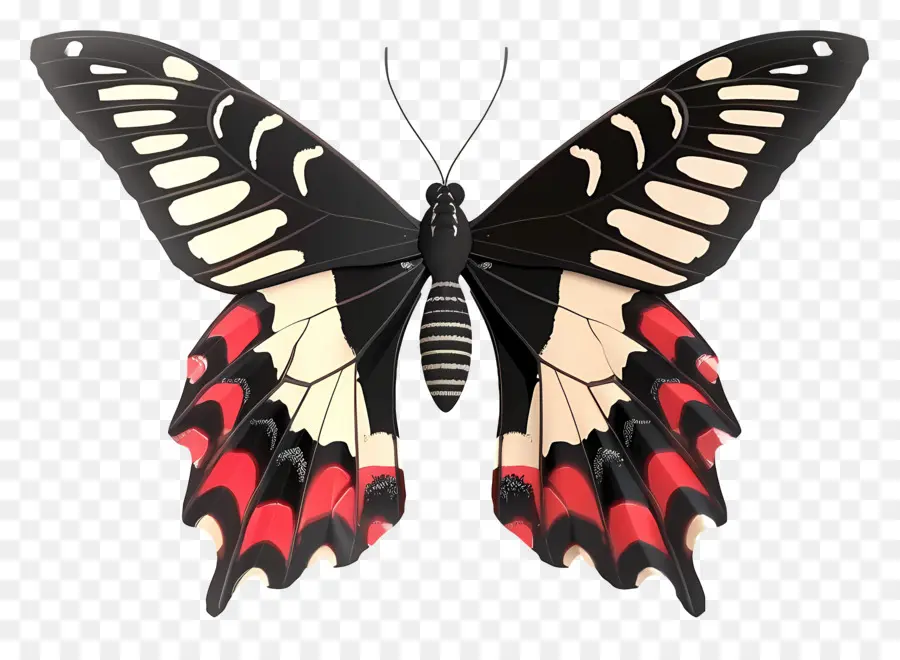 Mariposa Animada，Mariposa Colorida PNG