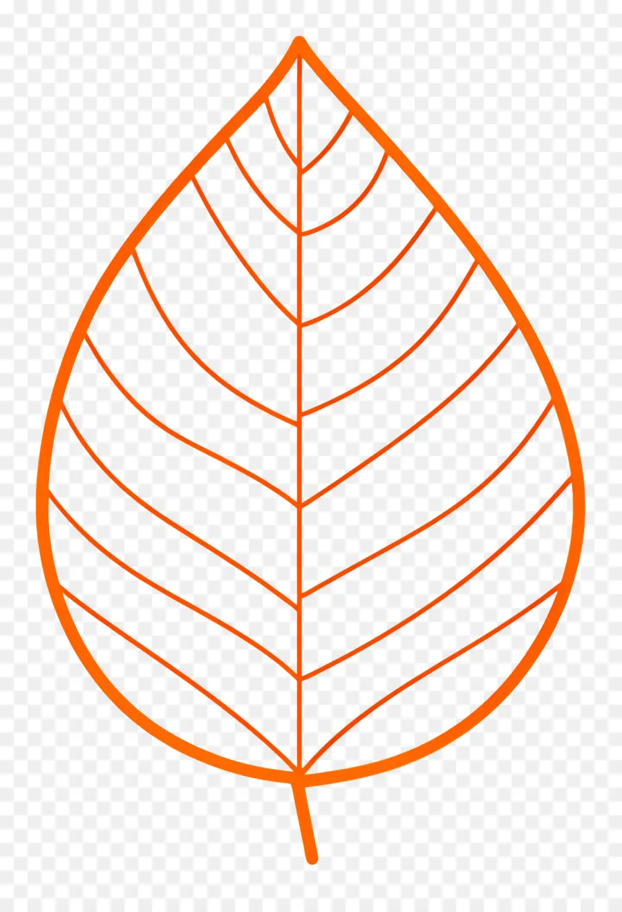 Hoja única，Hoja De Naranja PNG