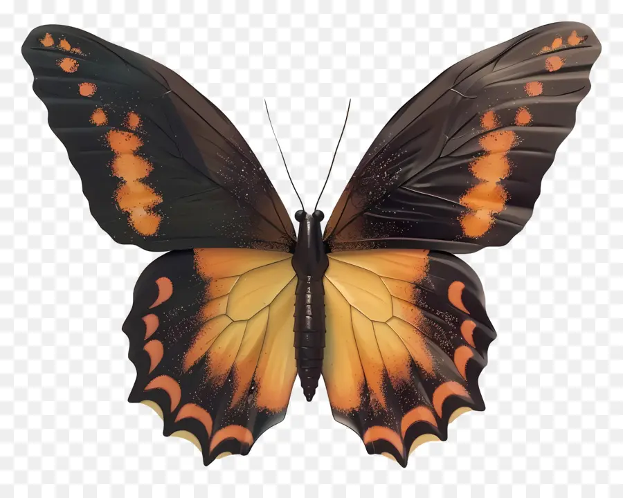 Mariposa Animada，Mariposa Colorida PNG