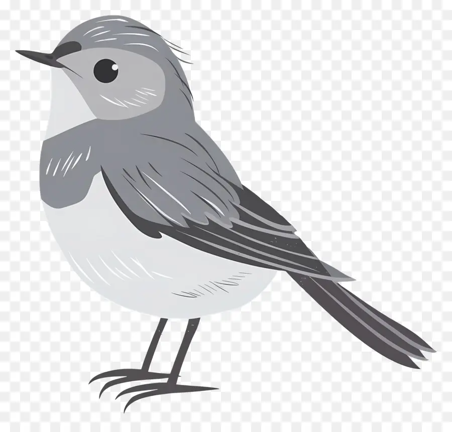 Lindo Pájaro，Pájaro De Dibujos Animados PNG