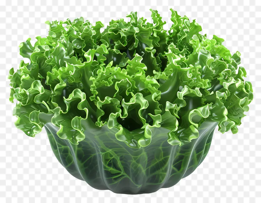 Ensalada Verde，Lechuga Verde PNG