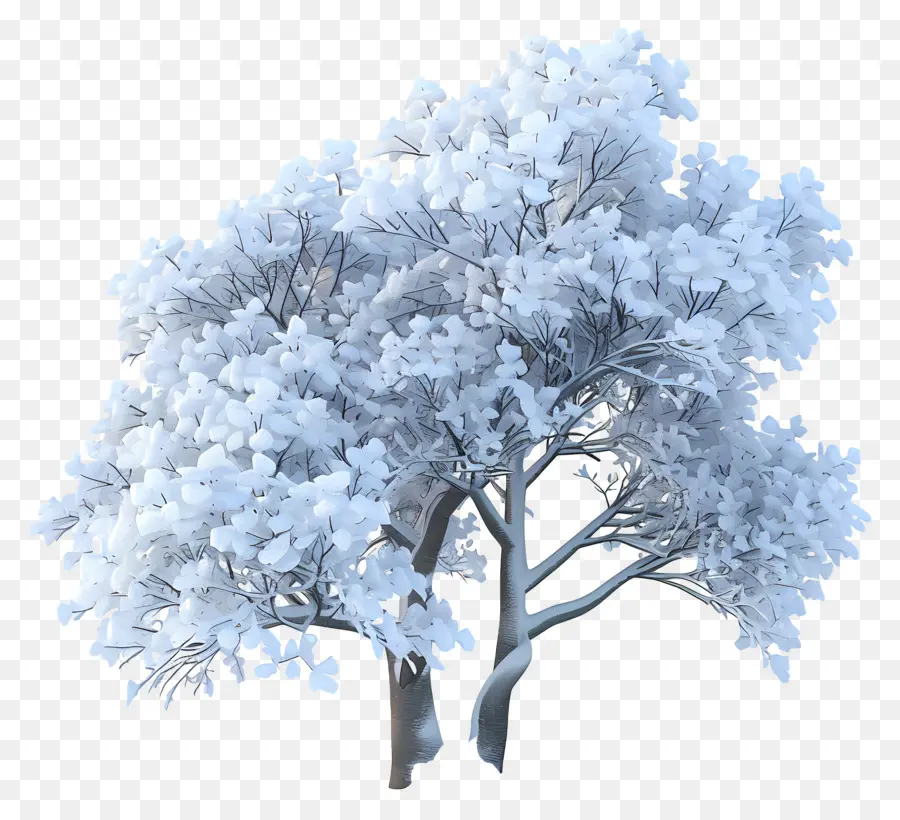 árbol Nevado，Invierno PNG