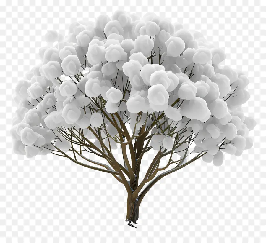 árbol Nevado，Planta De Algodón Blanco PNG