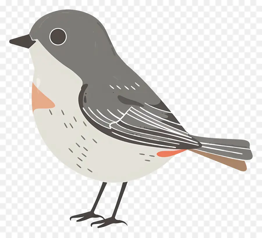 Lindo Pájaro，Pájaro De Dibujos Animados PNG