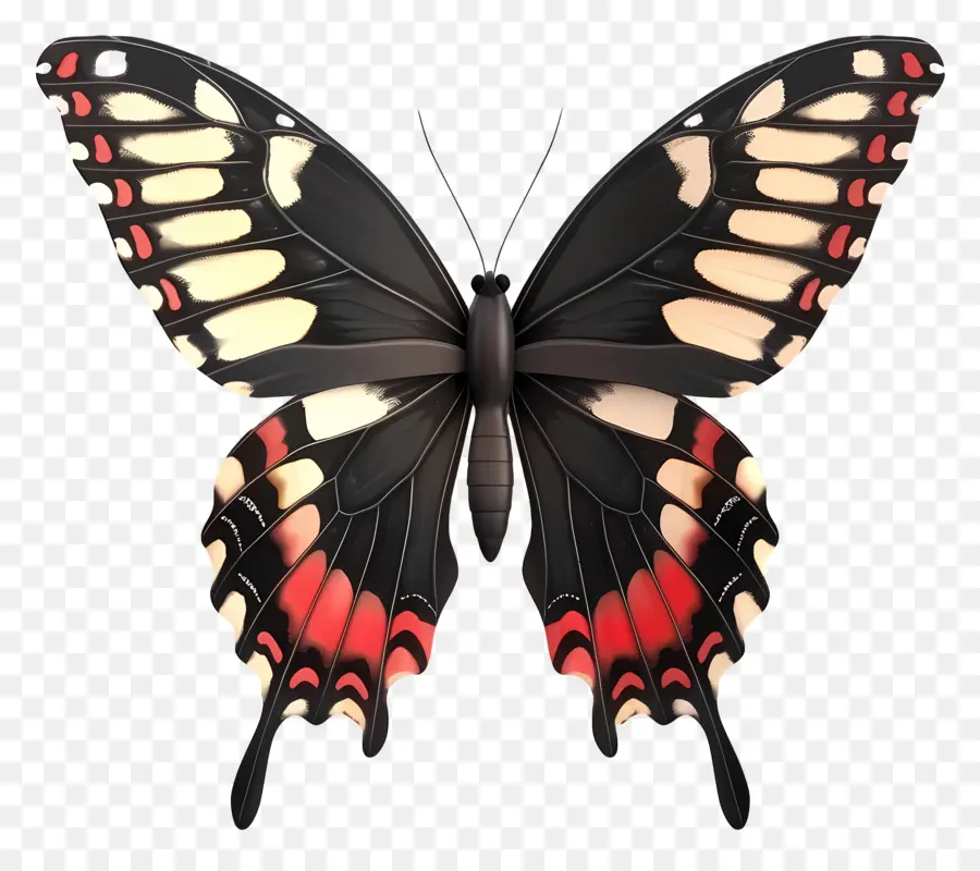 Mariposa Animada，Mariposa Colorida PNG