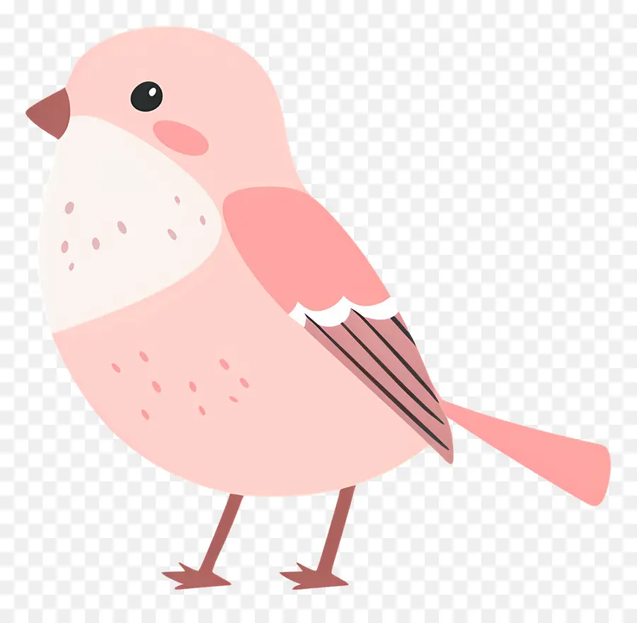 Lindo Pájaro，Dibujos Animados PNG