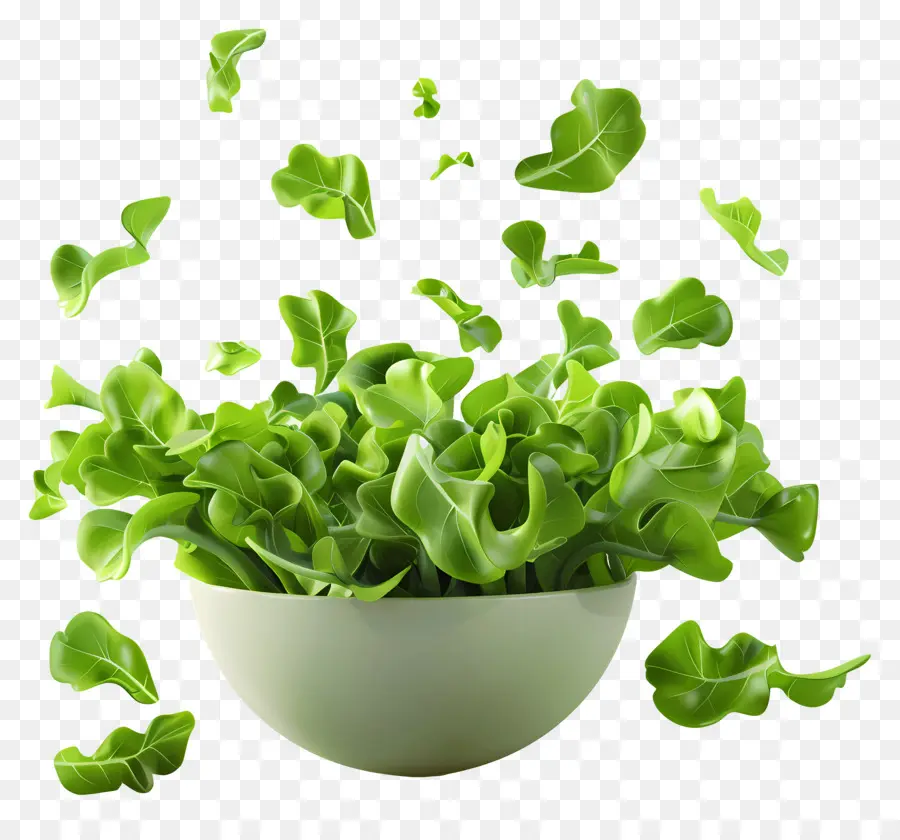 Ensalada Verde，Hojas Verdes PNG