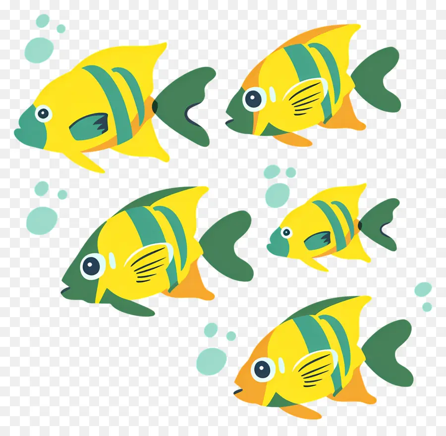 Grupo De Peces，Peces Coloridos PNG