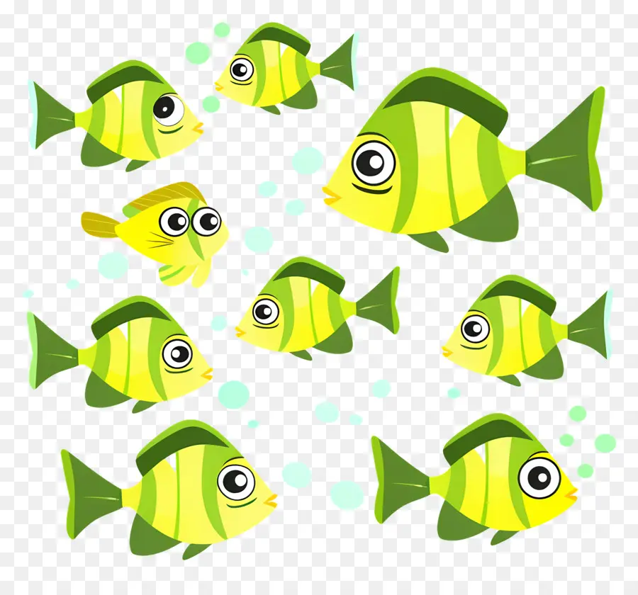 Grupo De Peces，Peces Coloridos PNG