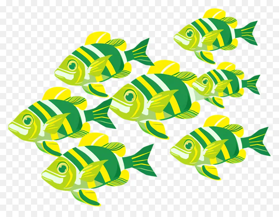 Grupo De Peces，Pez Amarillo PNG