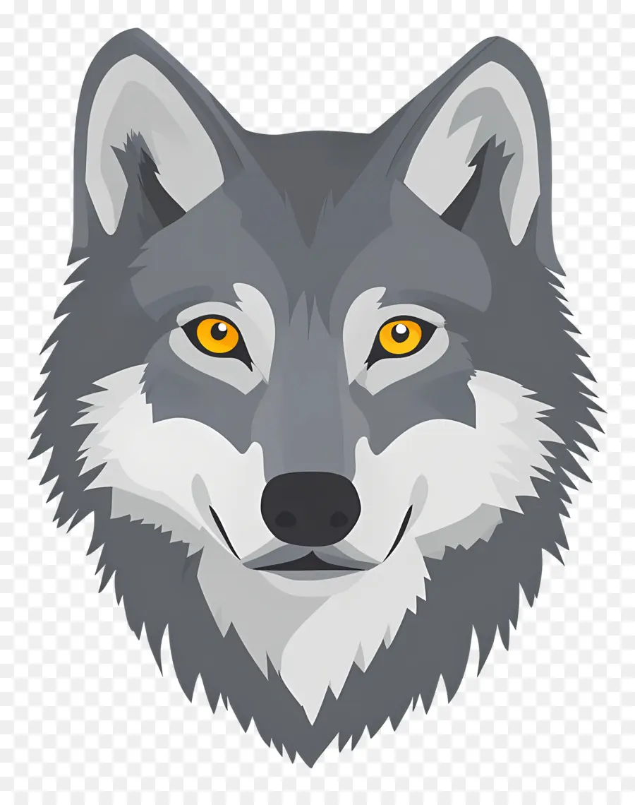 Cabeza De Lobo，Cara De Lobo PNG