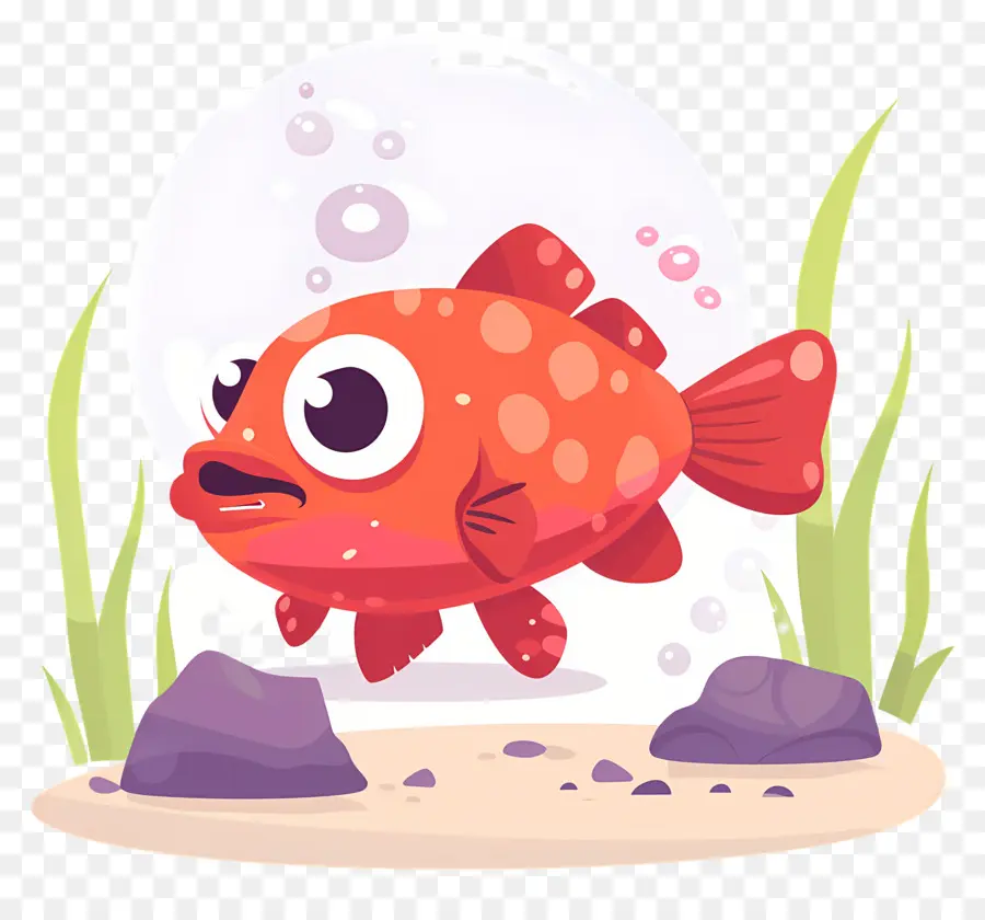 Lindo Pez Globo，Pescado Rojo PNG