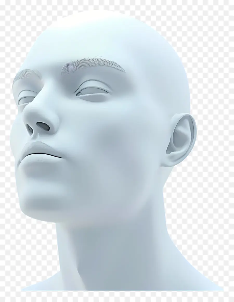 Cara De Hombre，Cabeza Calva PNG