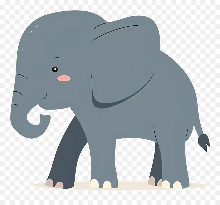 Lindo Elefante，Elefante PNG