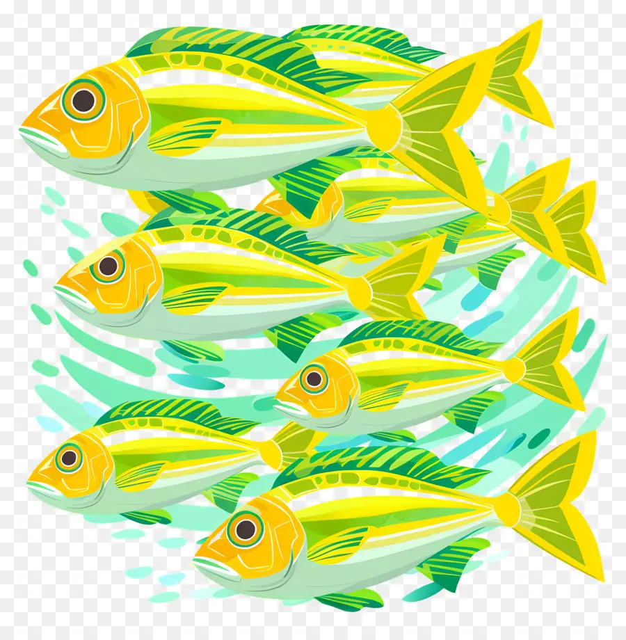 Grupo De Peces，Peces Coloridos PNG