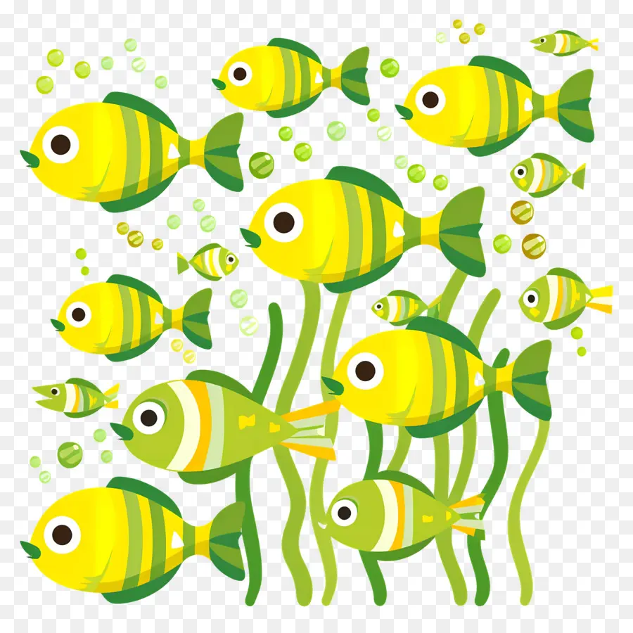 Grupo De Peces，Peces Coloridos PNG