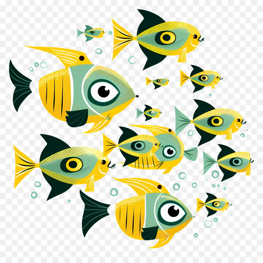 Grupo De Peces，Peces Coloridos PNG