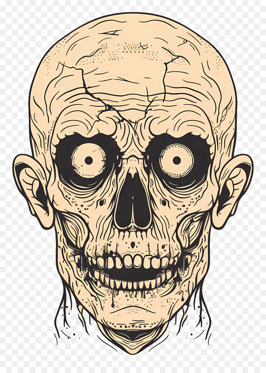 Cabeza De Zombie，Calavera Zombi PNG