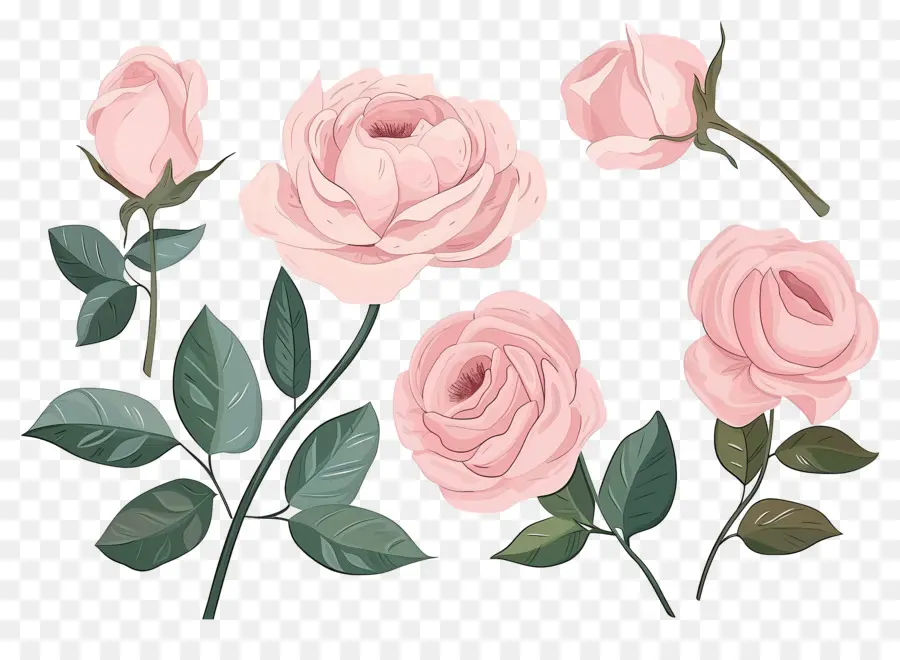 Rosas Rosadas，Arreglo Floral PNG