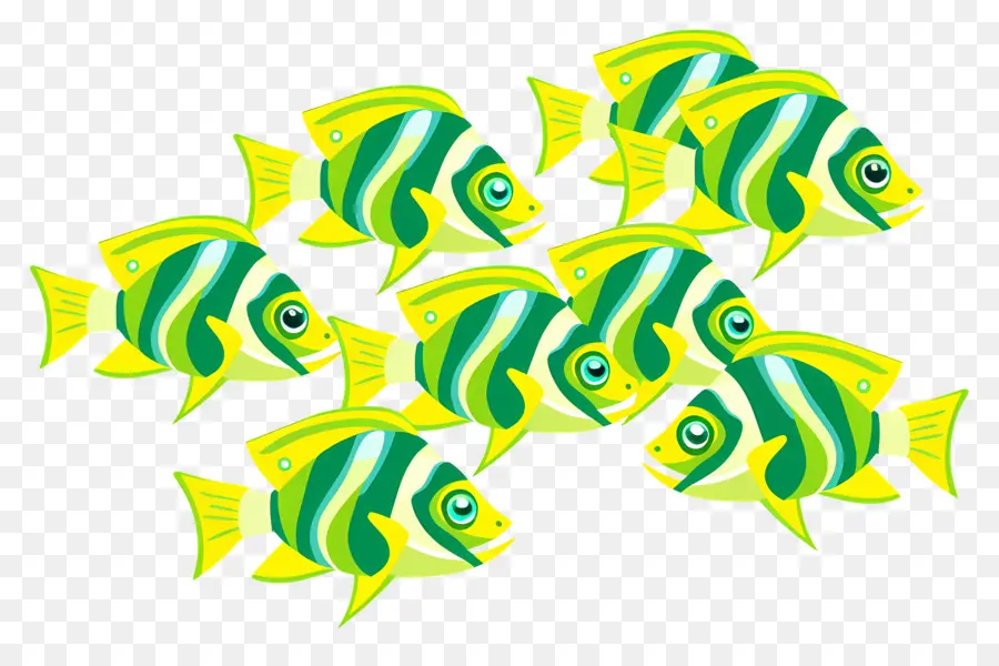 Grupo De Peces，Pez Amarillo PNG