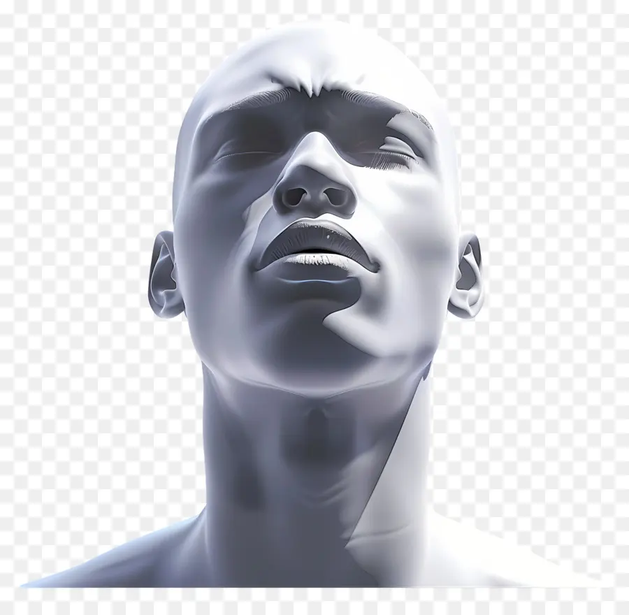 Cara De Hombre，Escultura De Cabeza 3d PNG