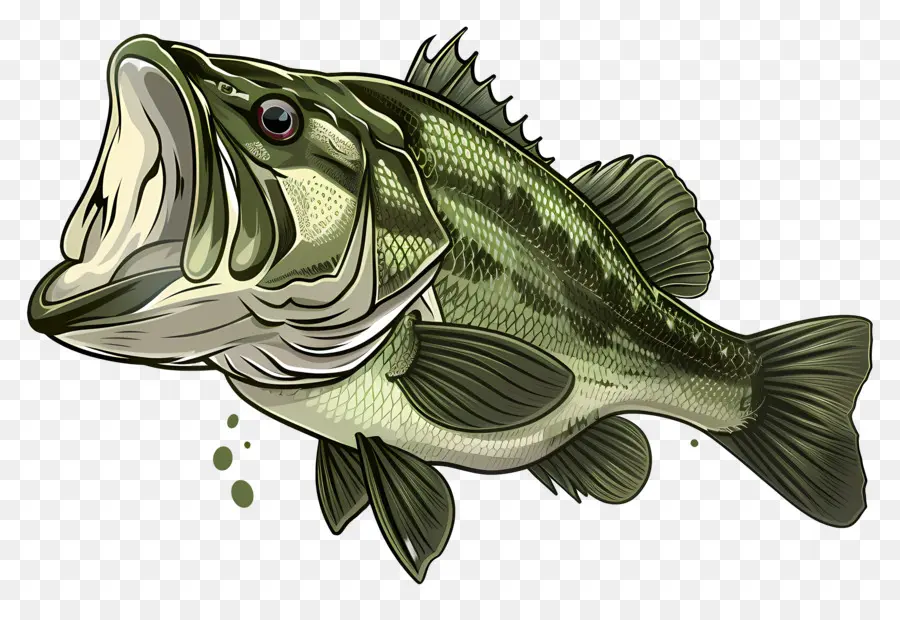 Pez Lubina，Ilustración De Peces PNG