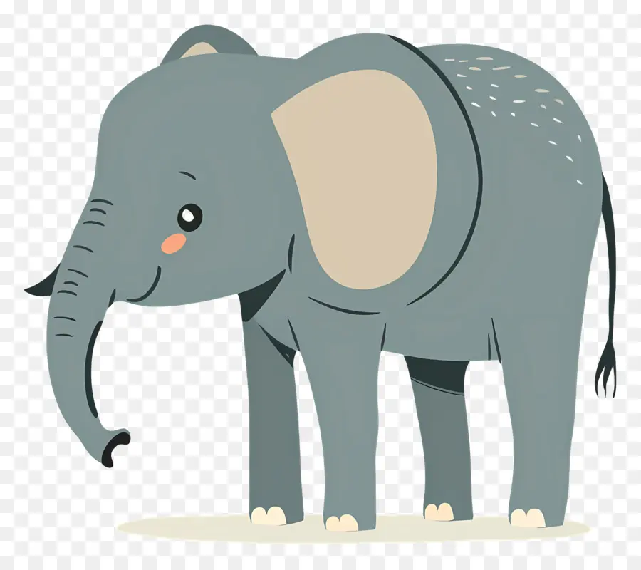 Lindo Elefante，Elefante PNG