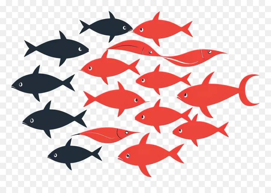 Grupo De Peces，Pescado Rojo Y Negro PNG