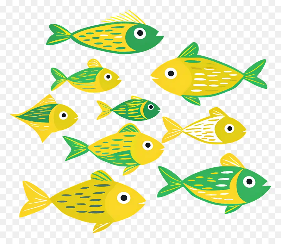 Grupo De Peces，Peces Coloridos PNG