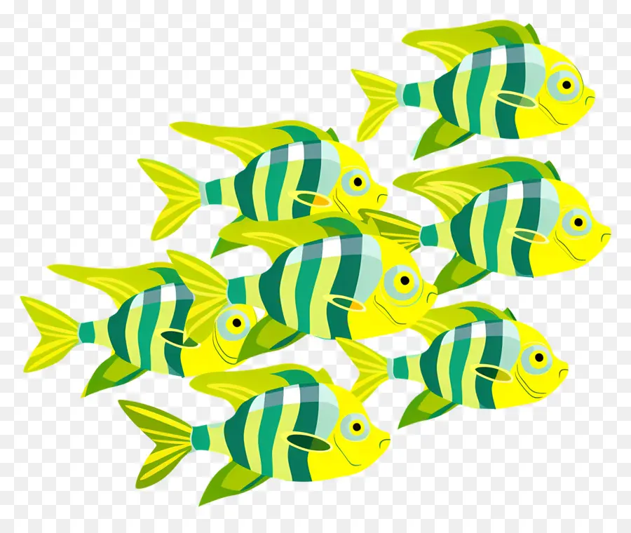 Grupo De Peces，Pez Amarillo PNG