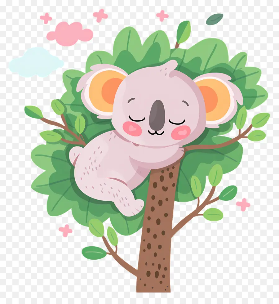 Lindo Koala，Koala En árbol PNG