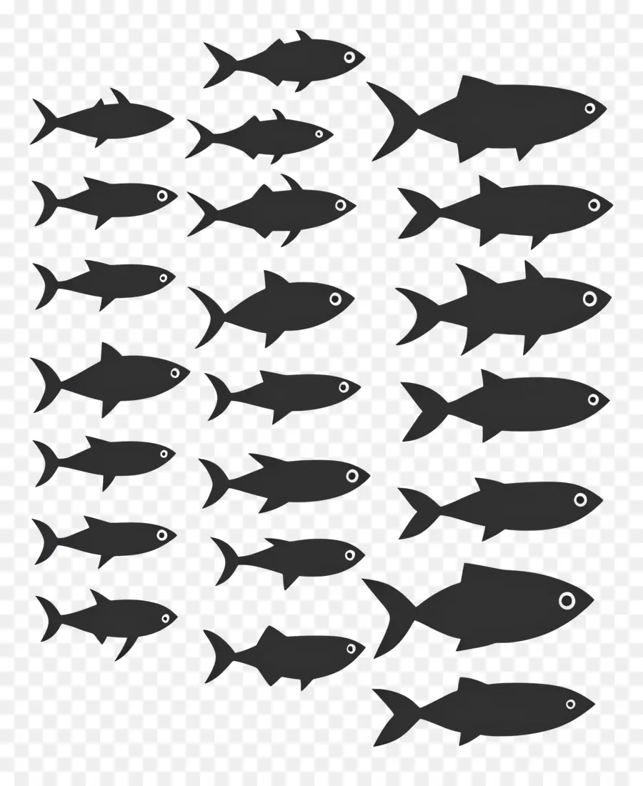 Grupo De Peces，Siluetas De Peces PNG