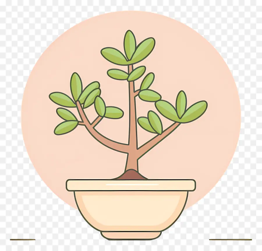 árbol Bonsái，Planta En Maceta PNG