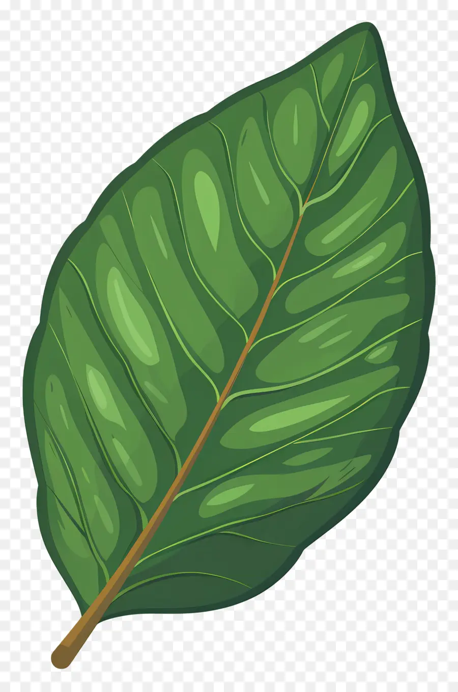 Hoja única，Hoja Verde PNG