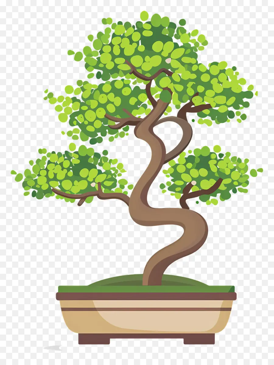 árbol Bonsái，Árbol Bonsái PNG