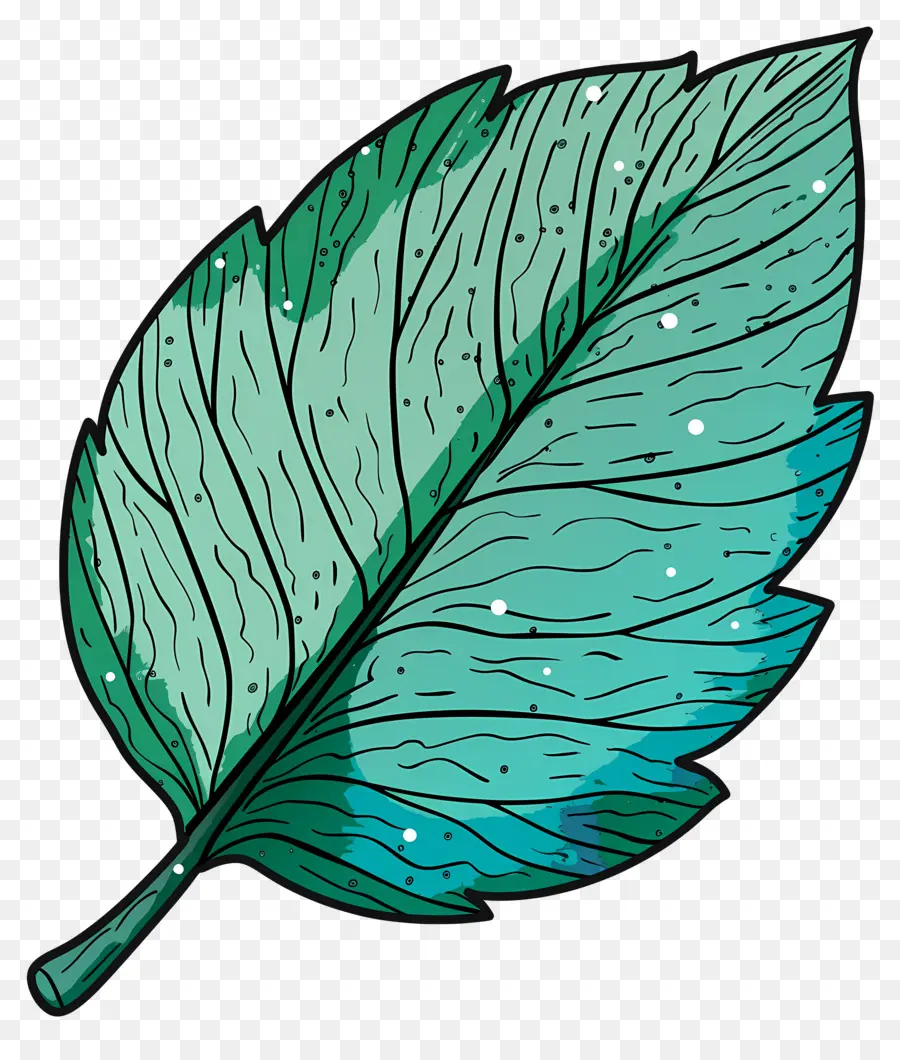 Hoja única，Hoja Azul PNG