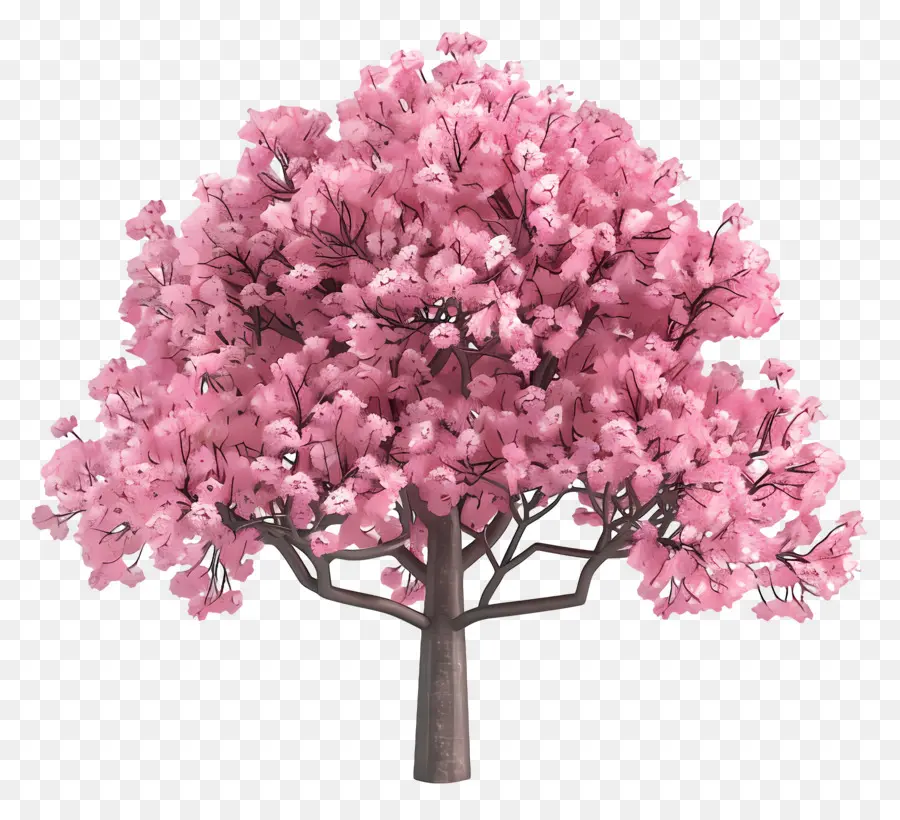 Árbol Animado，árbol Rosa PNG